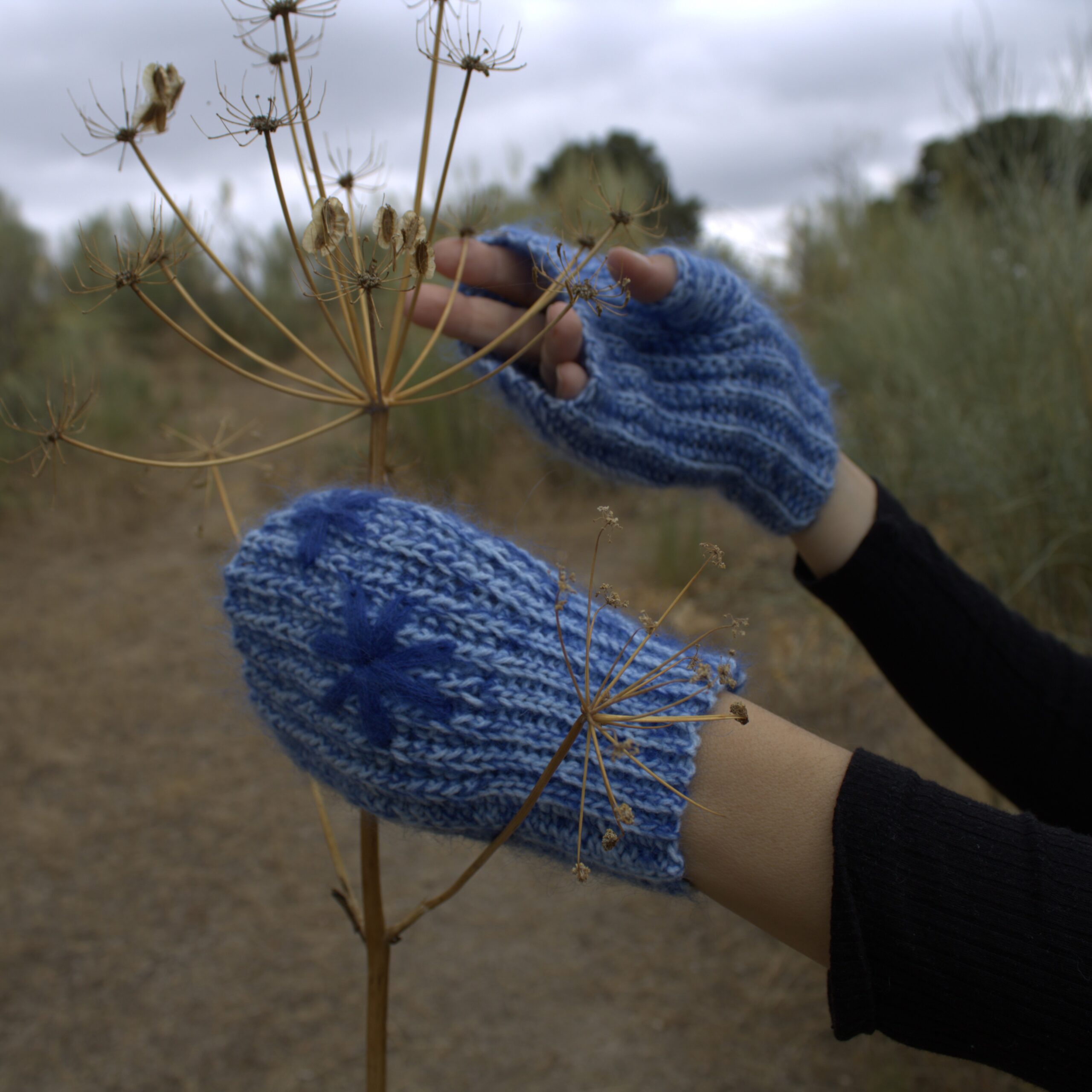 mitones azules 4 cuadrada